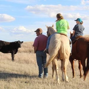 Meet your Posher, Trisha